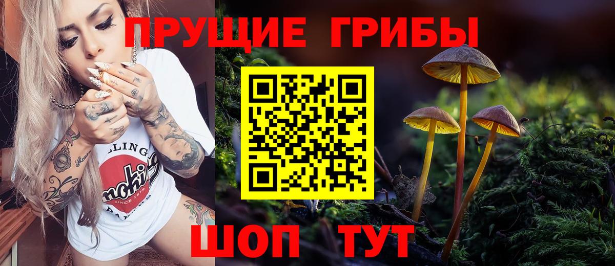 Псилоцибиновые грибы прущие грибы Рассказово