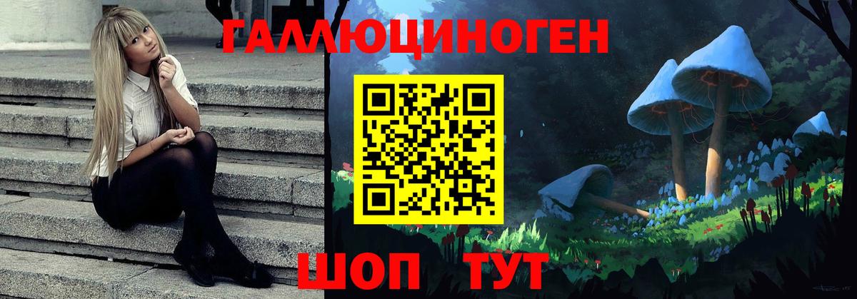 Рассказово  Галлюциногенные грибы Psilocybine cubensis  Вход с VPN 